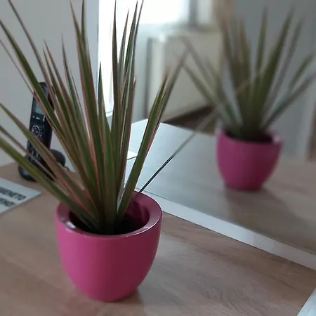 Hotel Family Izvora *